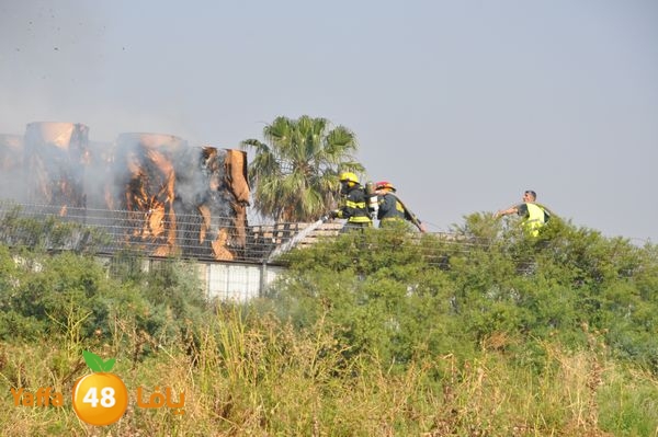 firecartoonsecnd506 (5).JPG